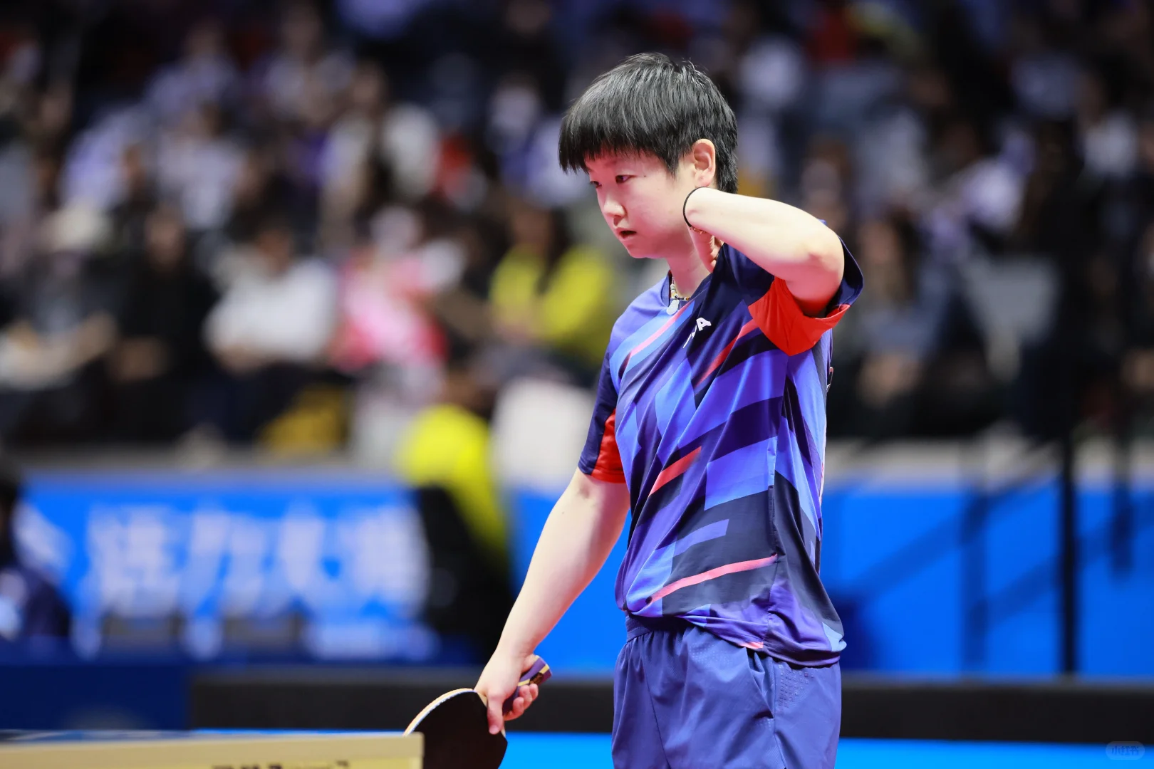 第十五届全国运动会🏓🦈 11.12