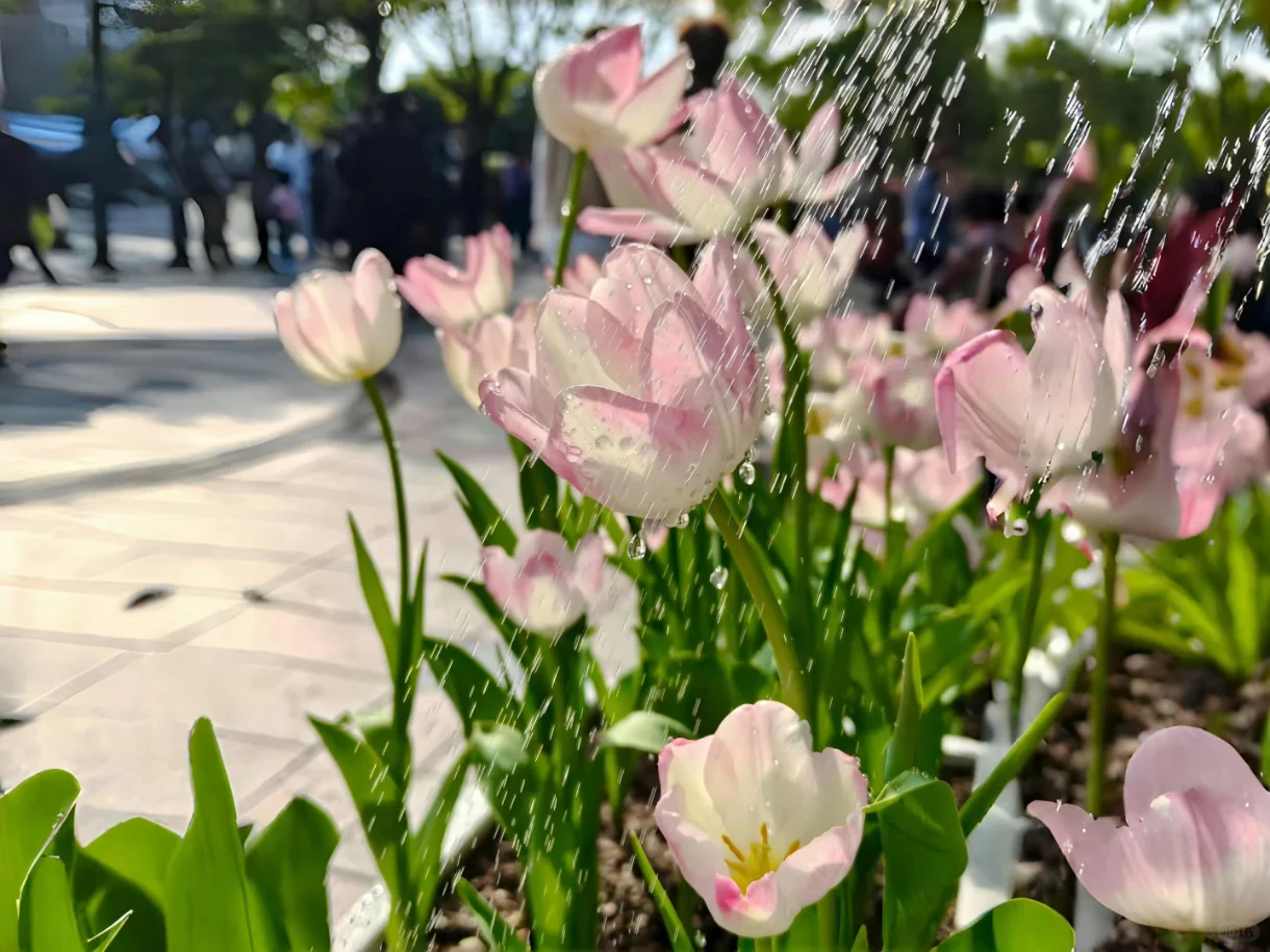 此刻我确定这就是横屏的神！！