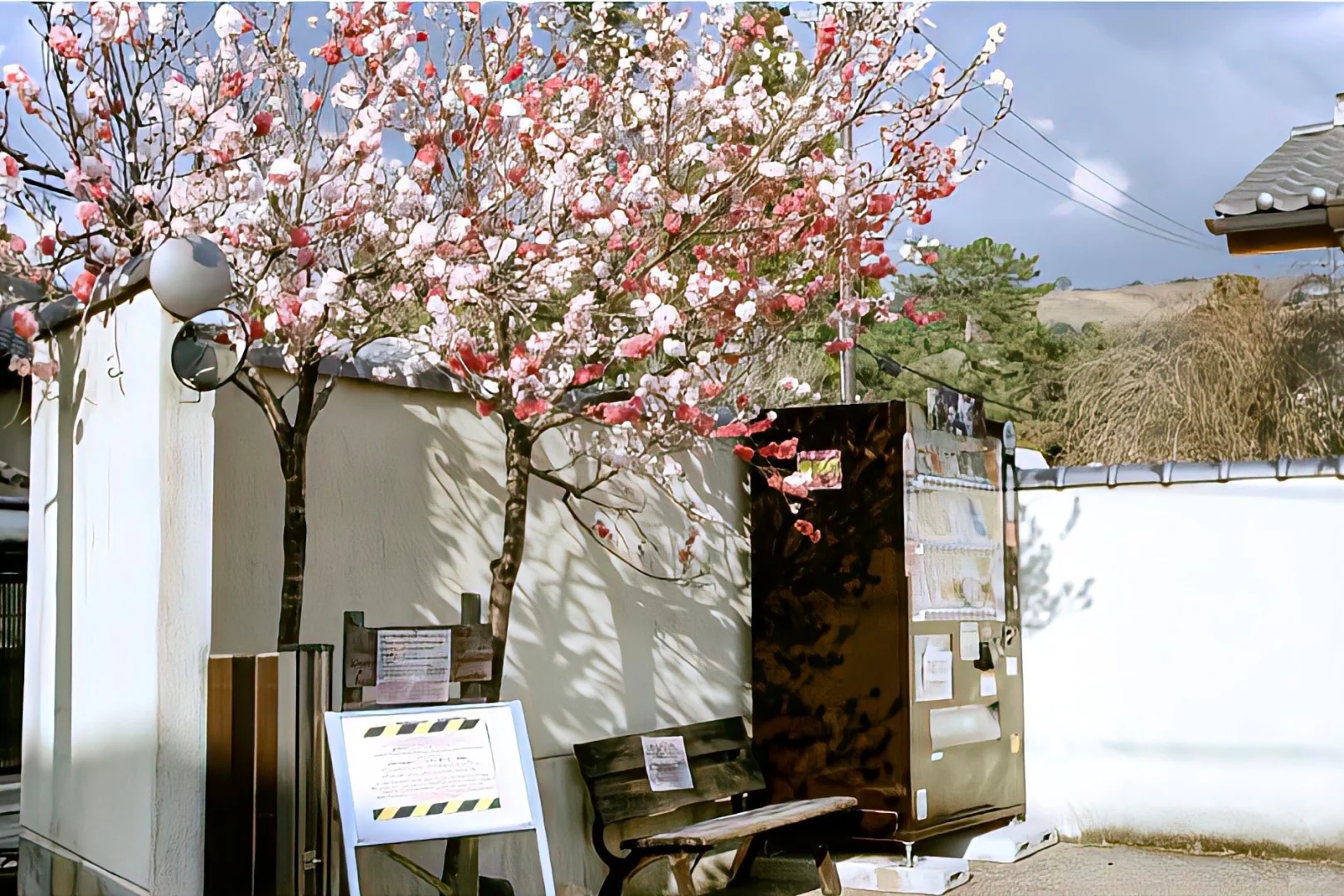 ins风氛围感高级iPad电脑壁纸合集分享