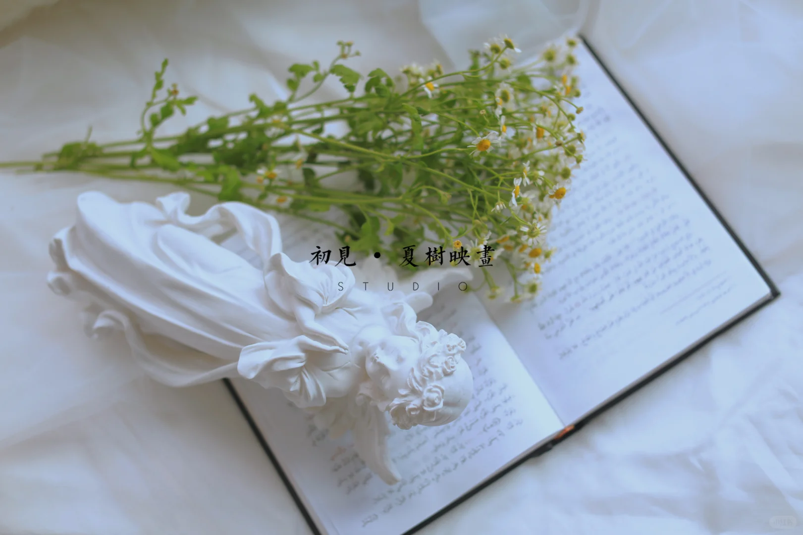 #少女写真#天使的翅膀#天使女孩