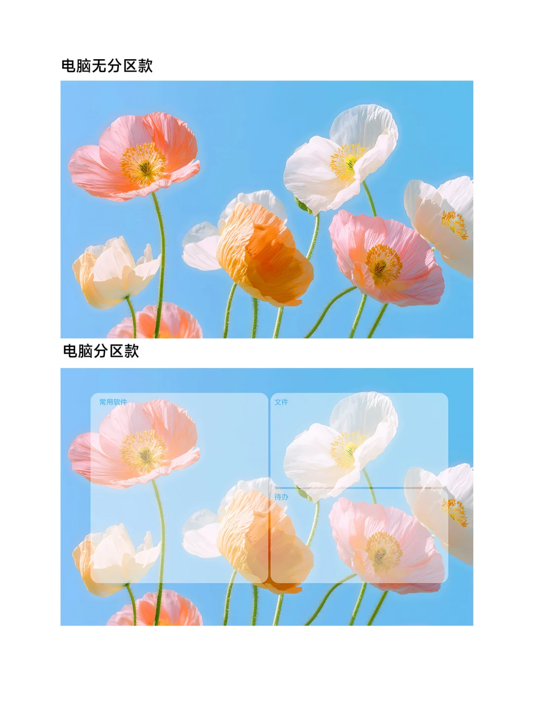 鲜花只为自己开｜ios26适配3D景深壁纸Z395