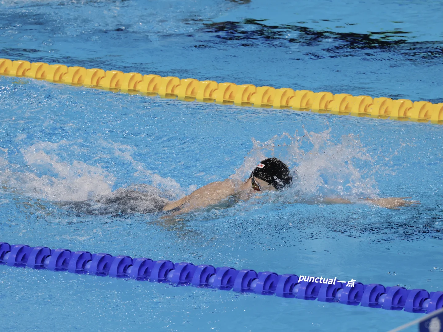 你有这么可爱的子迪妹妹进入我朝泳坛☺️