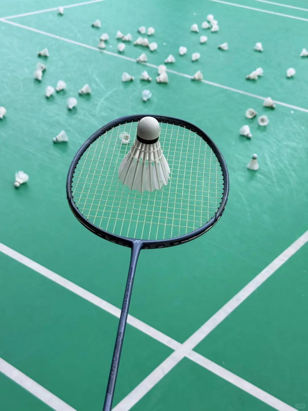 去运动吧 羽毛球🏸