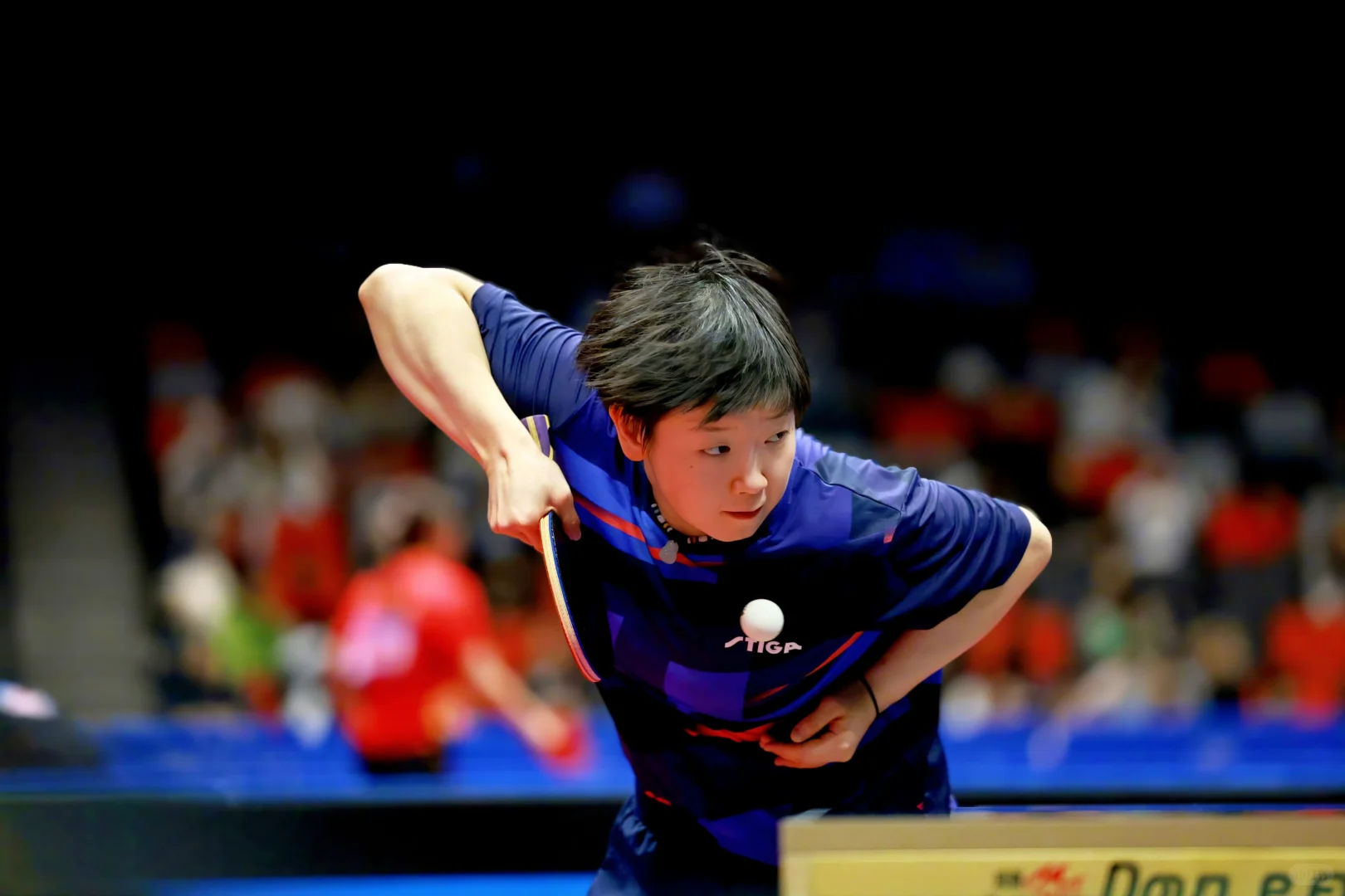 第十五届全国运动会🏓🦈 11.12