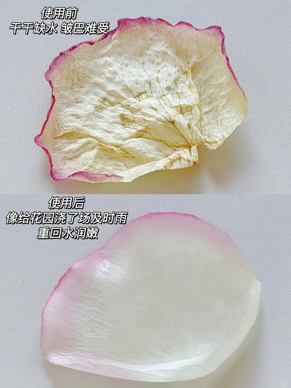 女明星保养太超前！被小10岁弟弟宠爱的㊙️