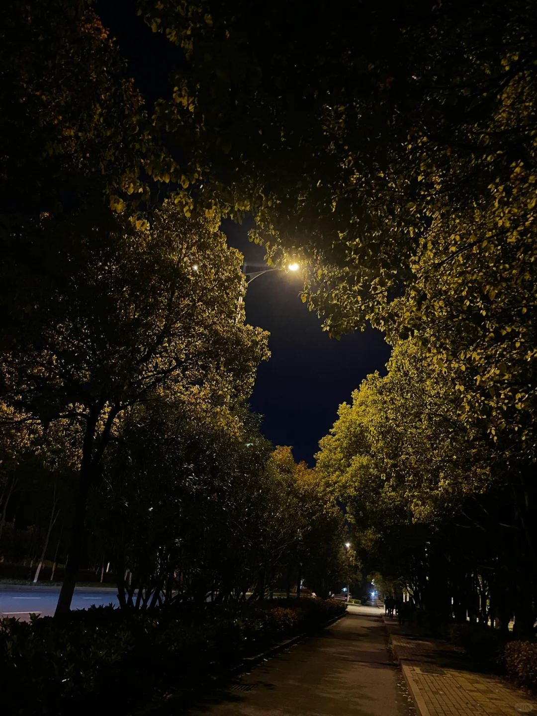 忘记生活的疲惫，感受运动的乐趣🏃