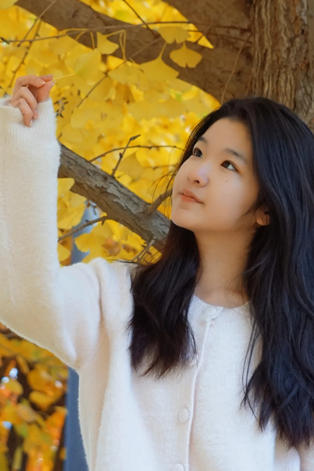 04女大⎮又是一年首经贸的秋