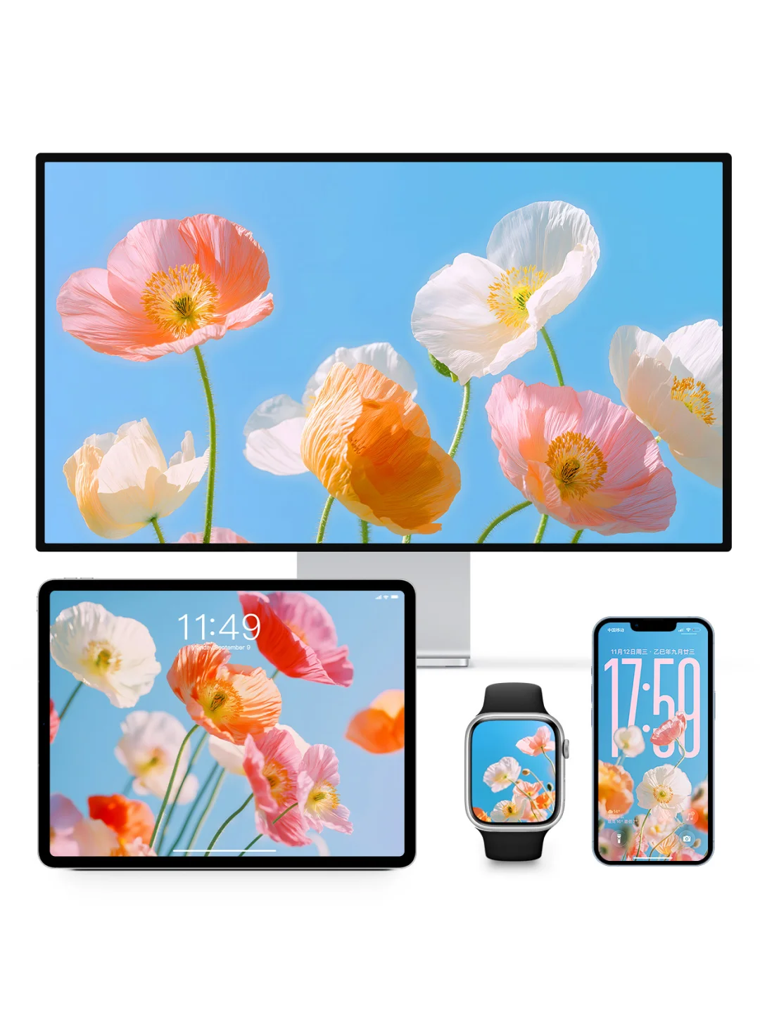 鲜花只为自己开｜ios26适配3D景深壁纸Z395