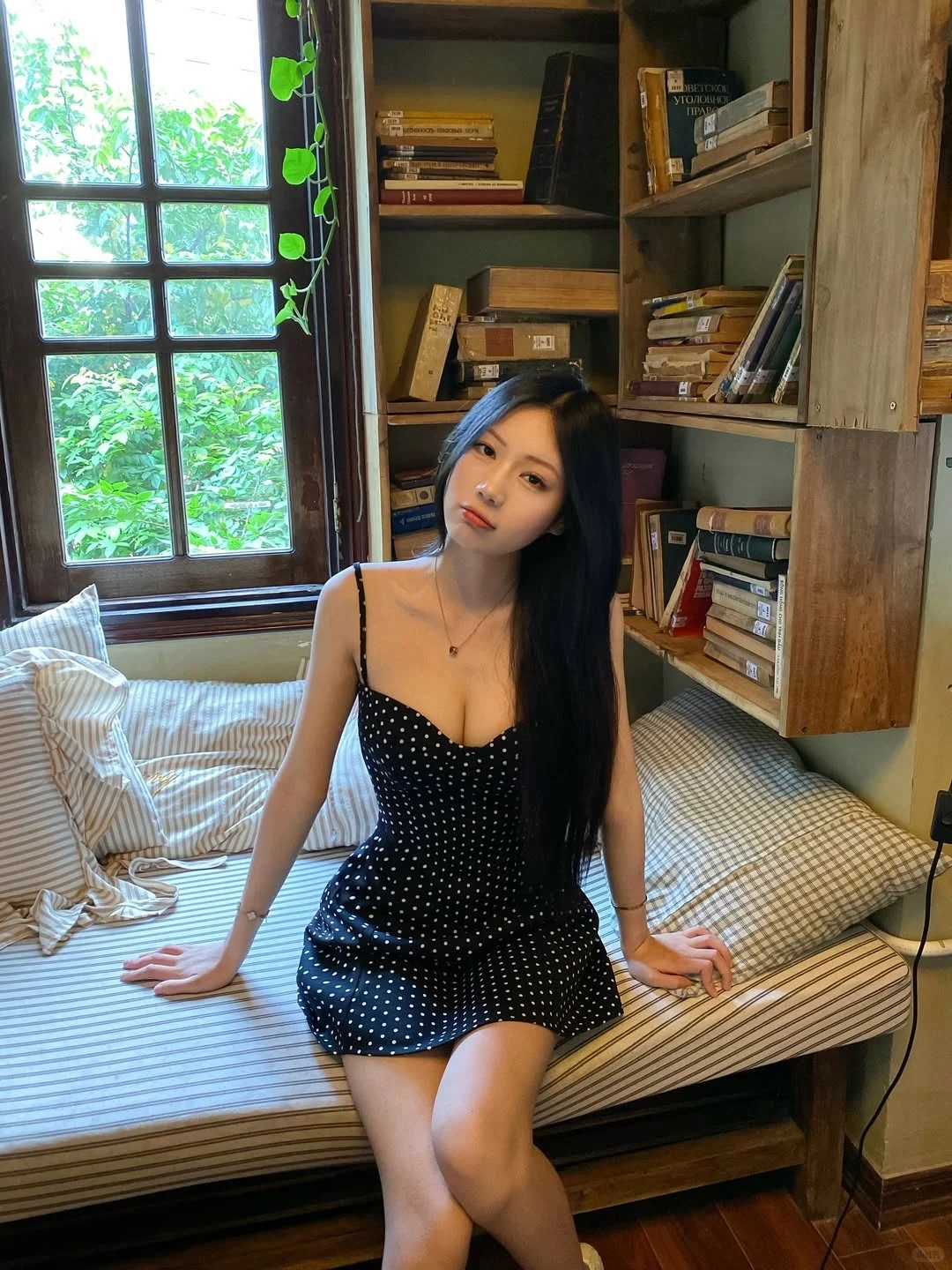 或许你也喜欢越南吗？