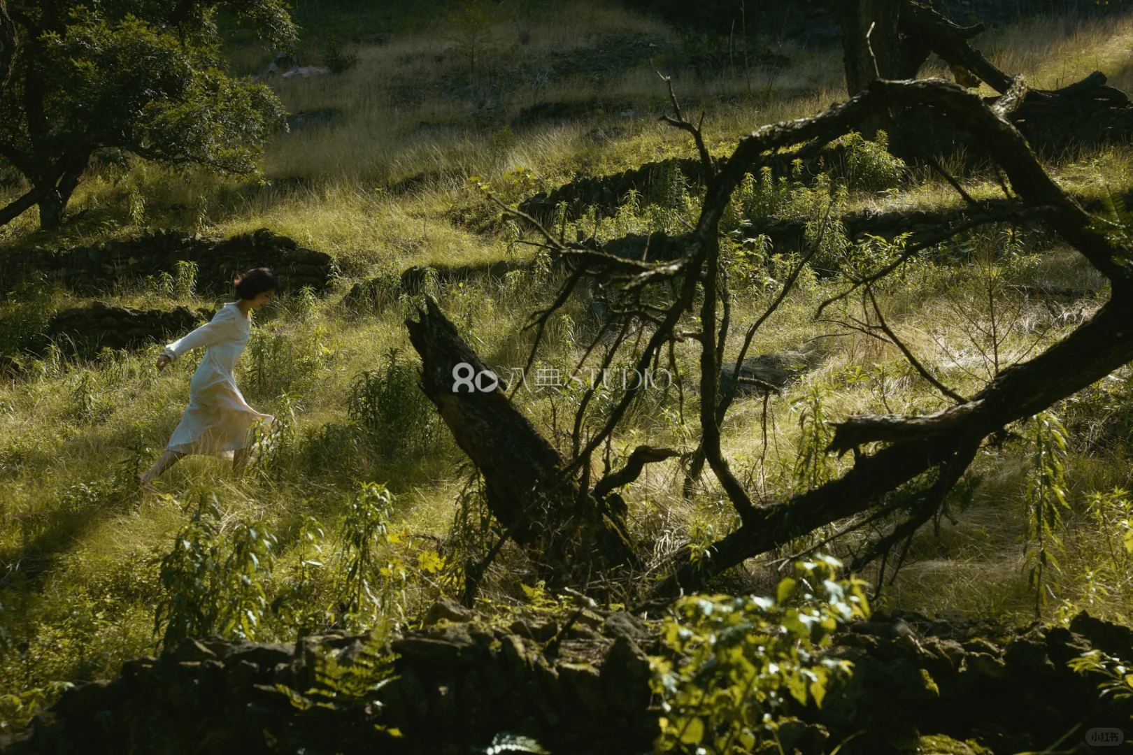 内衣品类风格化摄影我们没输过｜内衣摄影