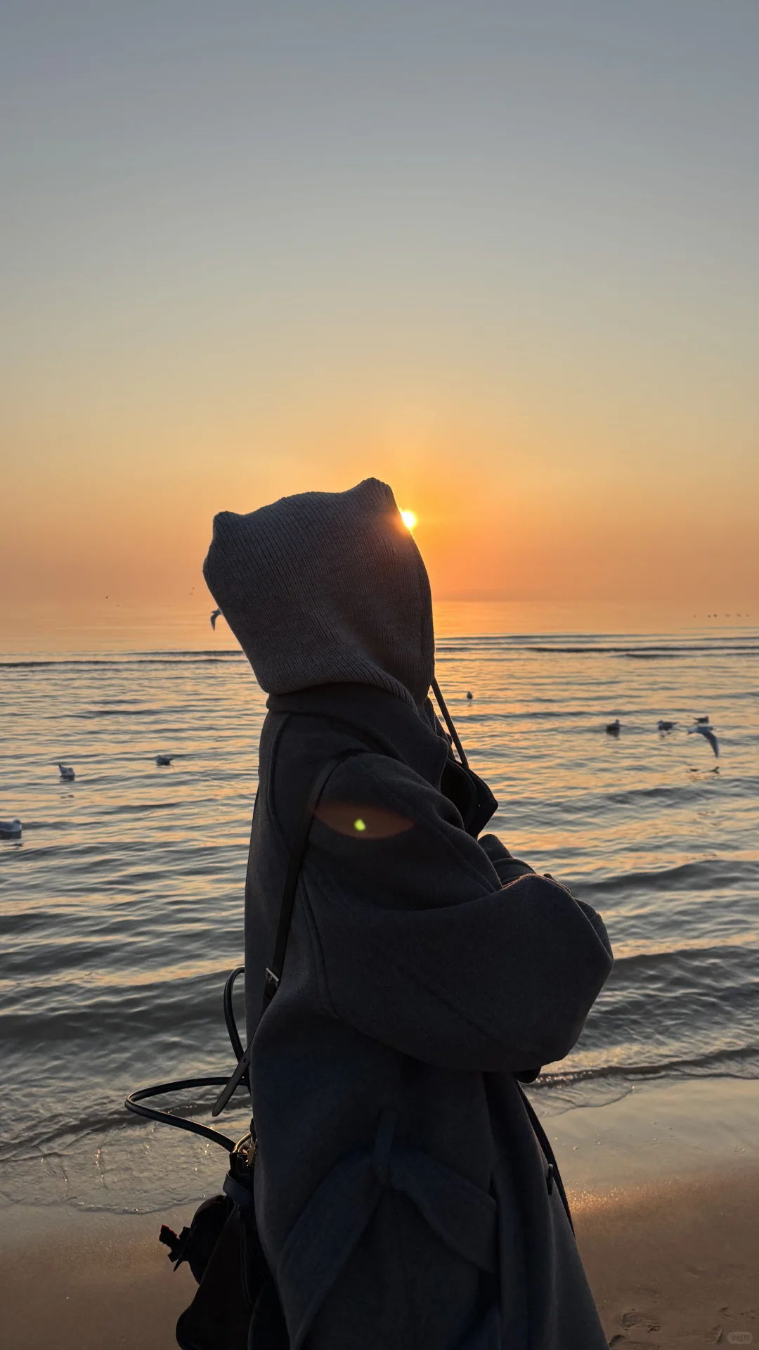 在阿那亚的幸福瞬间📖🌊