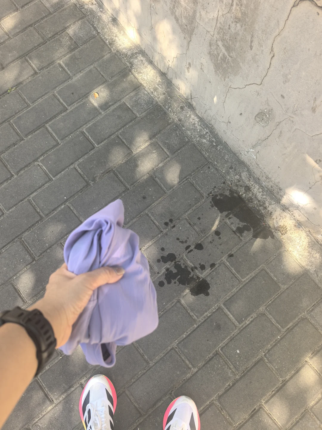 晨跑8km，我跟太阳在斗争