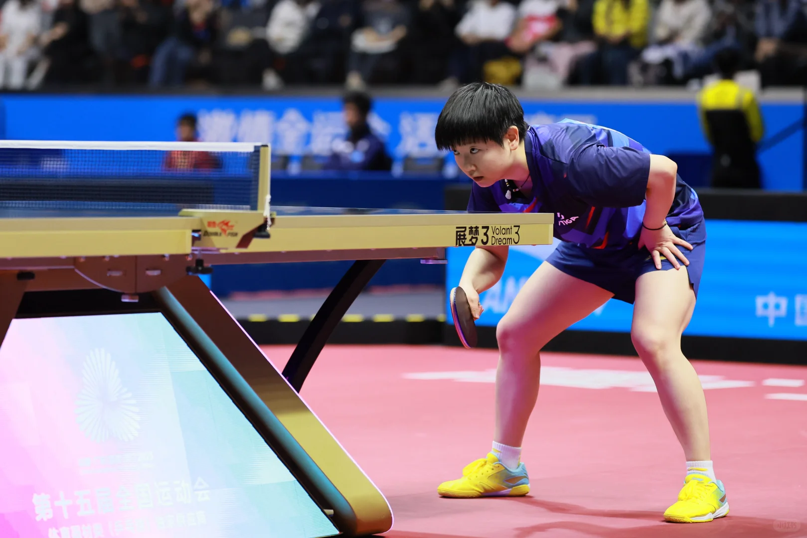 第十五届全国运动会🏓🦈 11.12