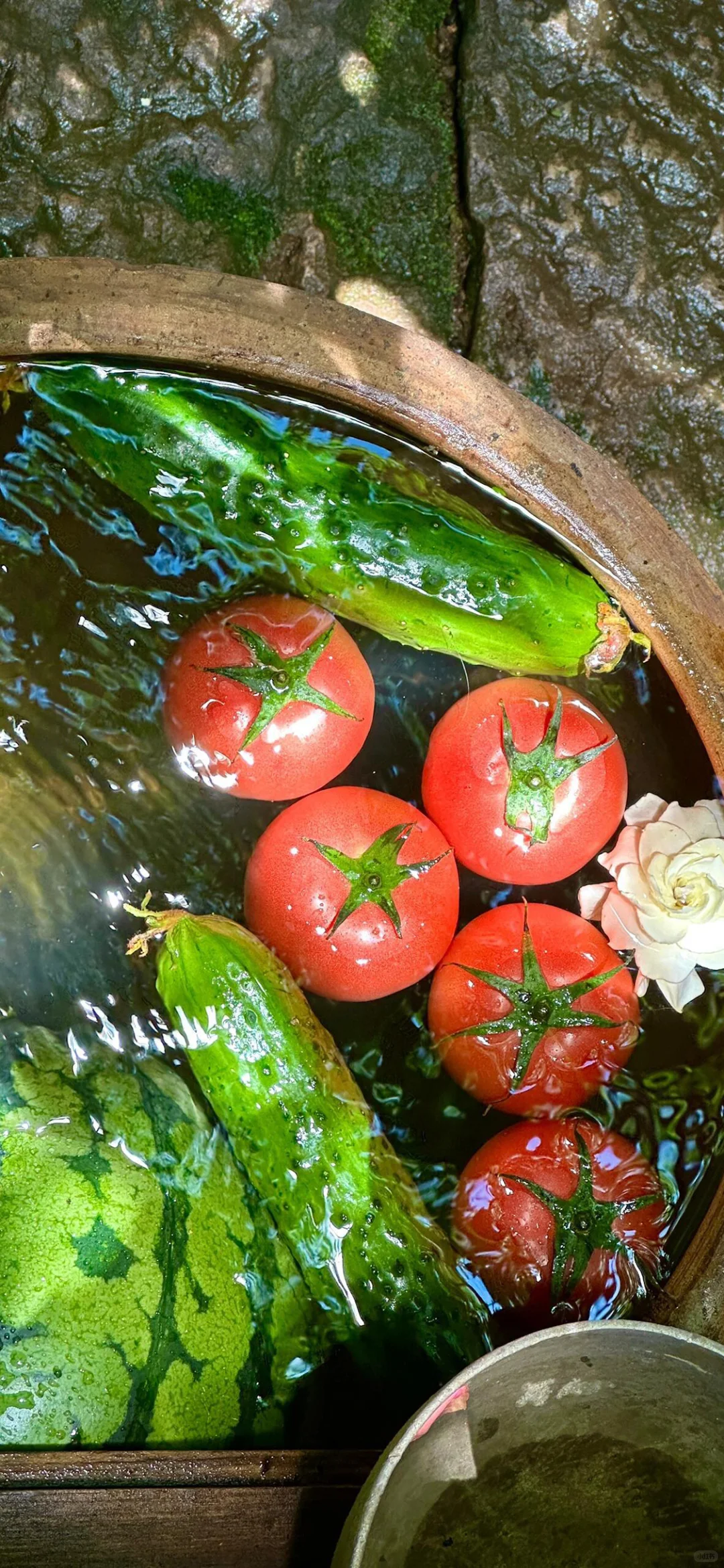 好运壁纸·每日通胜丨水木清华，碌柚叶祛霉