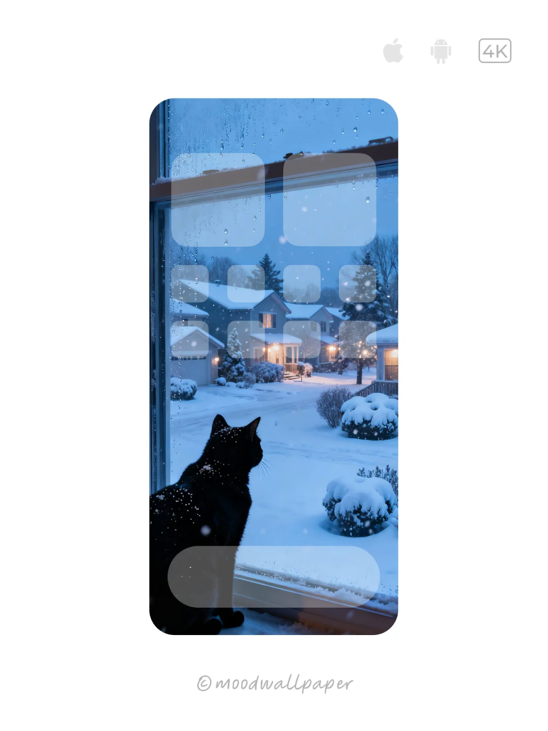 🐱北海道黑猫｜Mood｜情绪壁纸