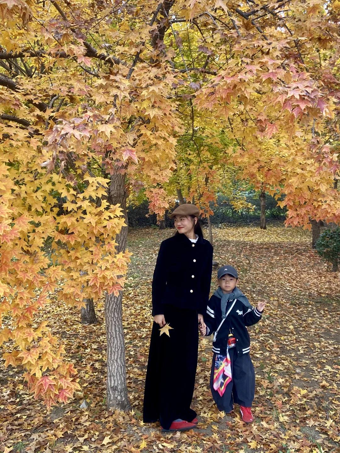 11.8实况！青岛最适合拍人像的枫叶🍁！