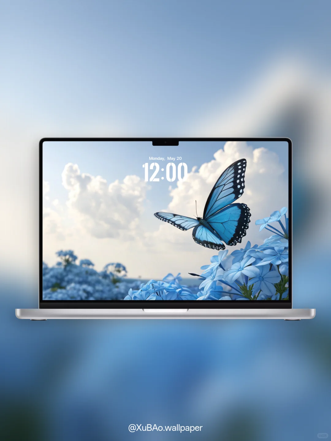 A2521 | 4k壁纸 | 蝶恋花