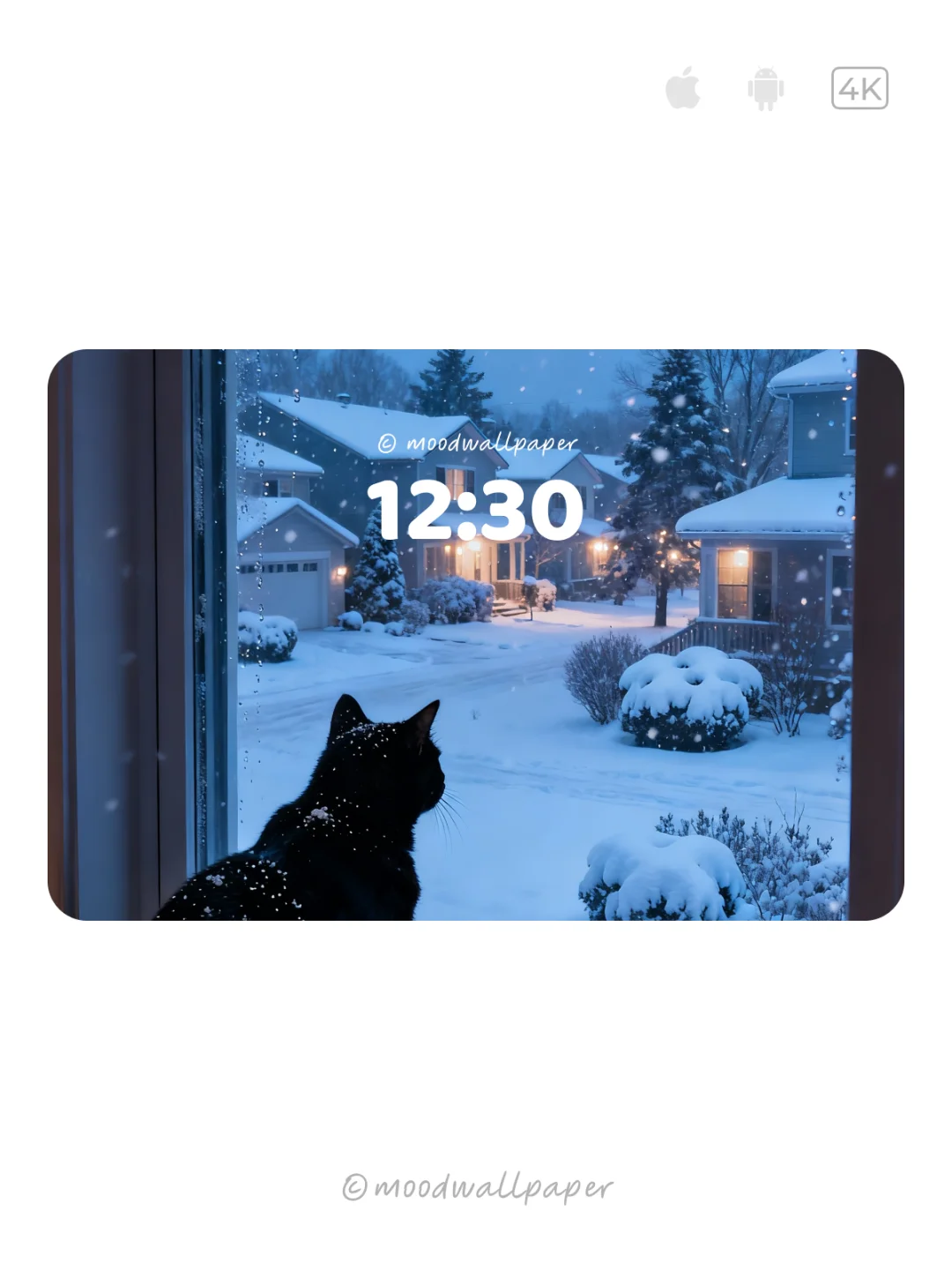 🐱北海道黑猫｜Mood｜情绪壁纸