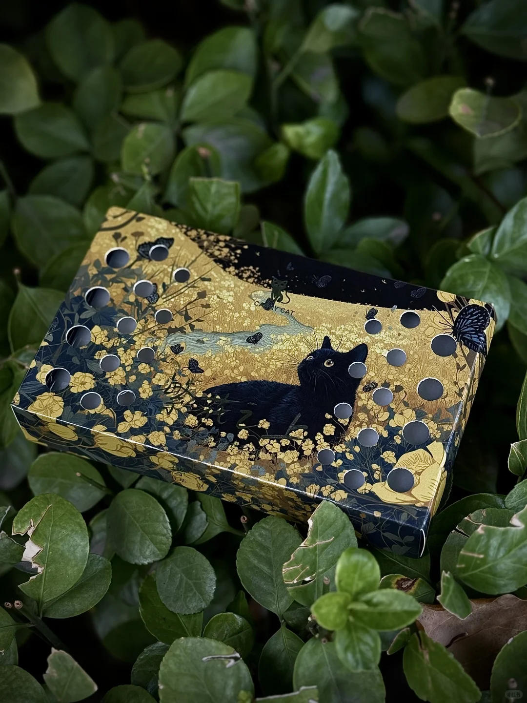 🔁有天晚上突然想做汽车博主 然后就这样了