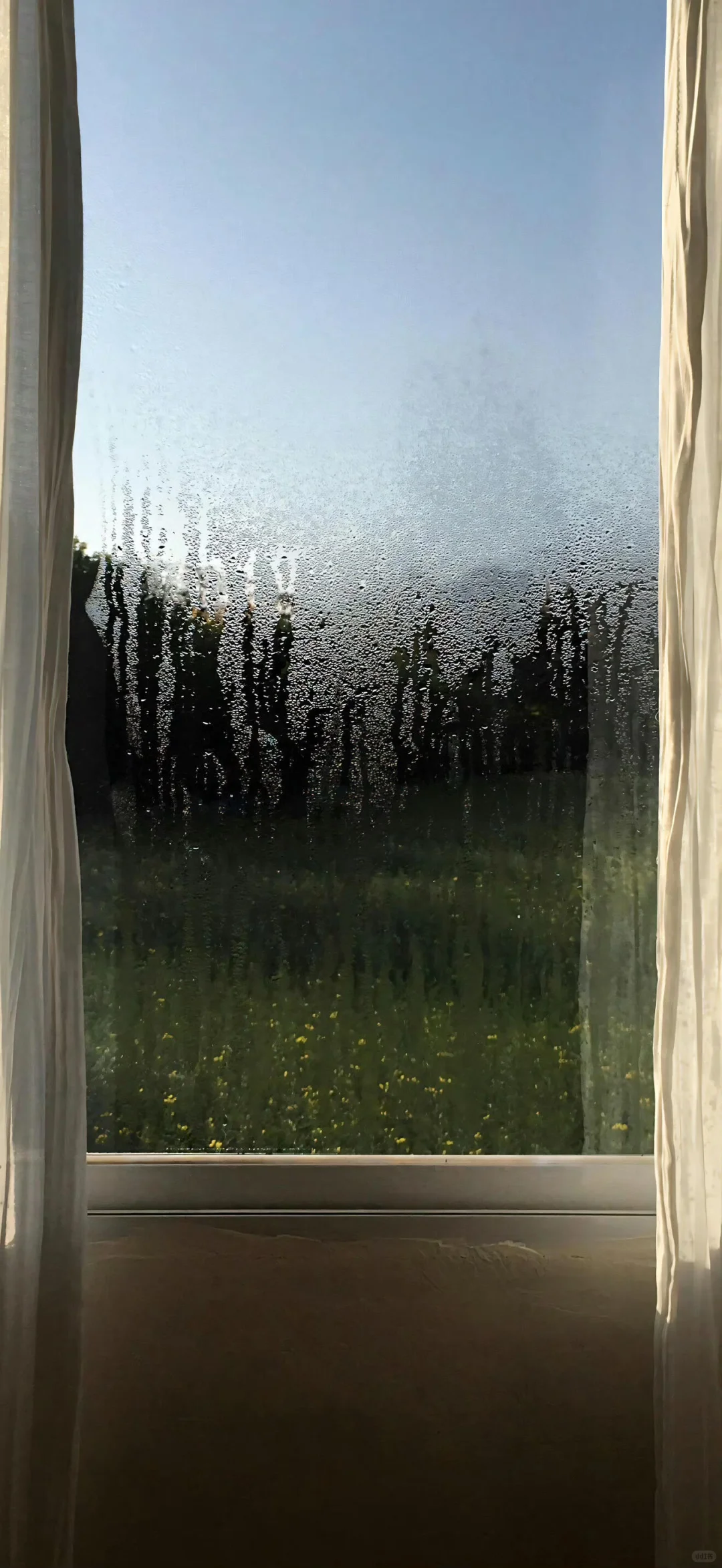 氛围感壁纸第四十二弹