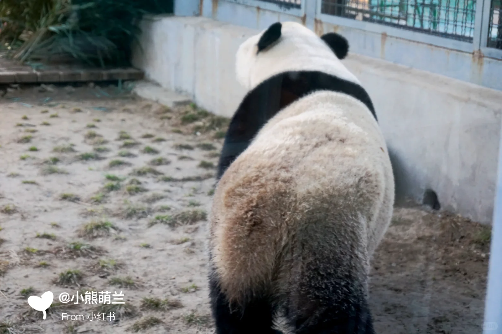 这样婀娜的腰身 隔壁的胖子从未给我看过