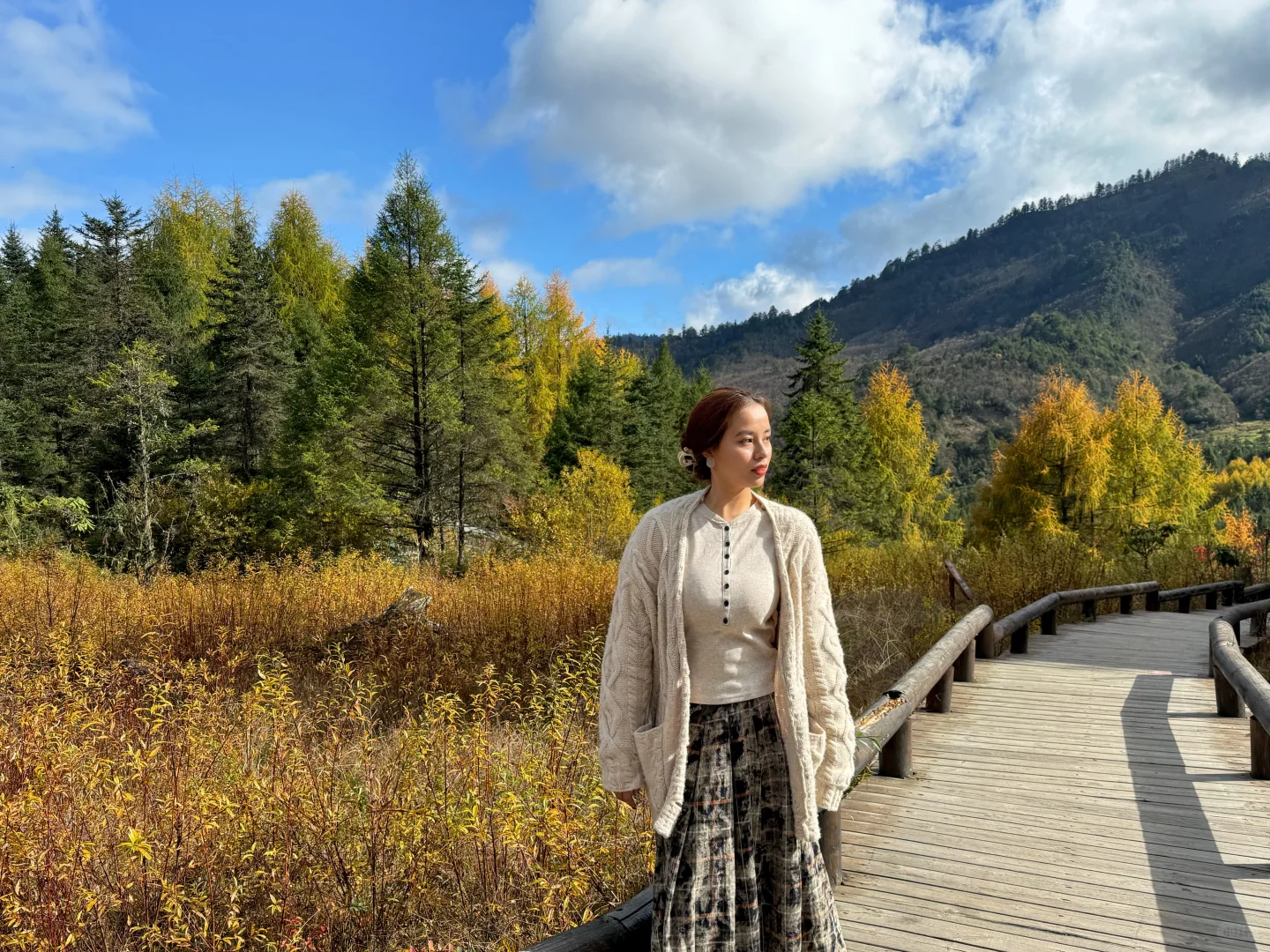 最后一抹秋黄，是写给冬天的序章。