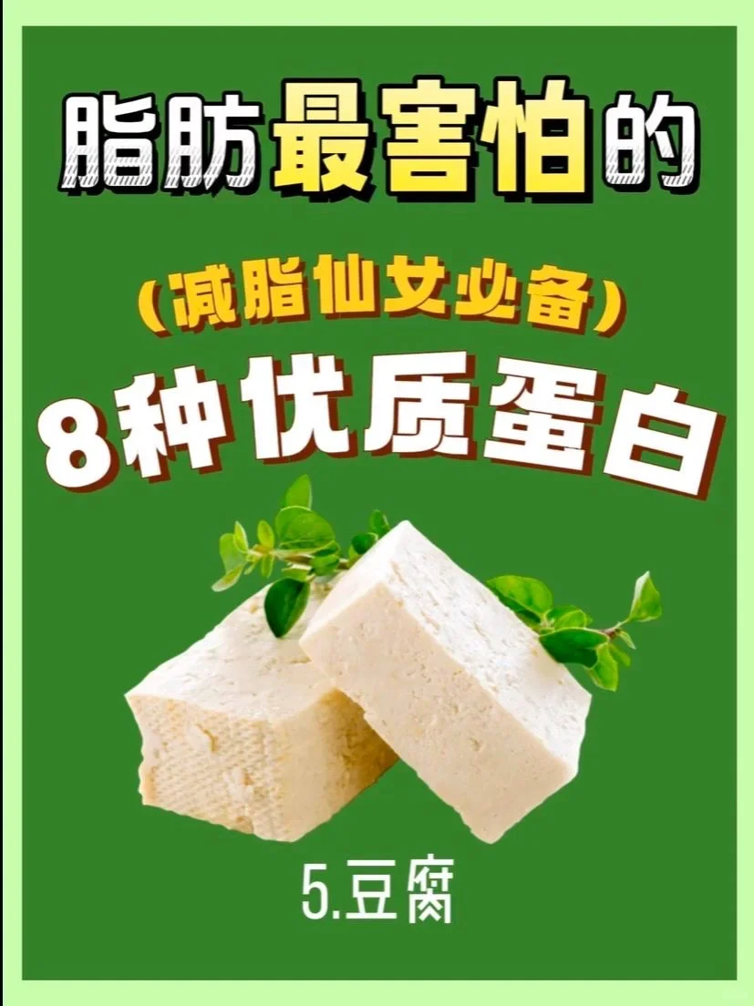 适合减肥期间吃的8种优质蛋白！减肥必看！