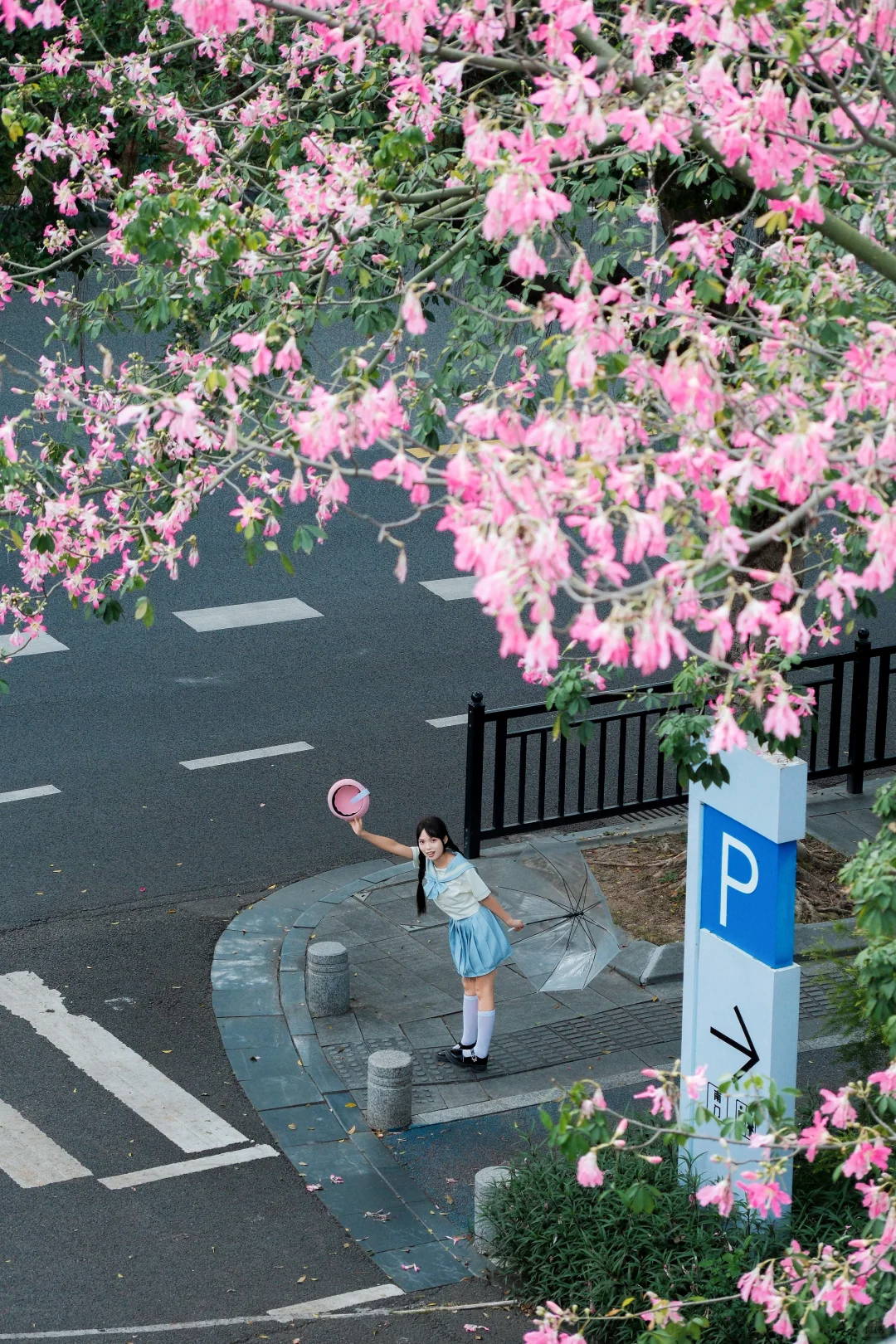 广州的秋天是粉色的🌸