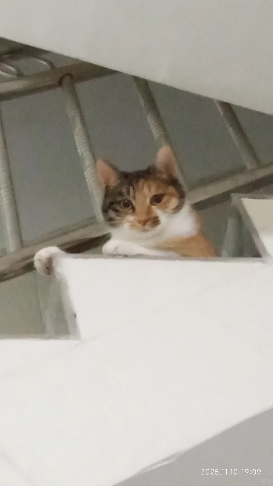 我们都是天使小女孩