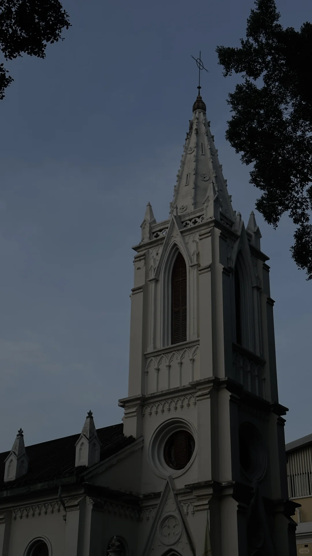 The backless dress of a pretty girl