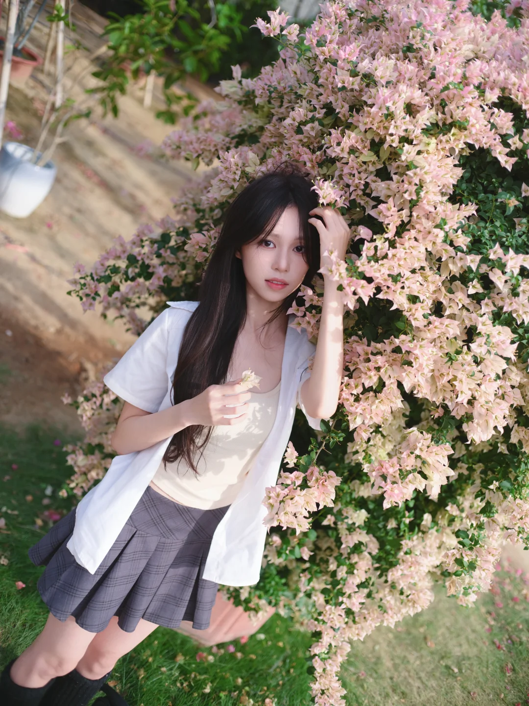 一颗三角梅就有各种角度