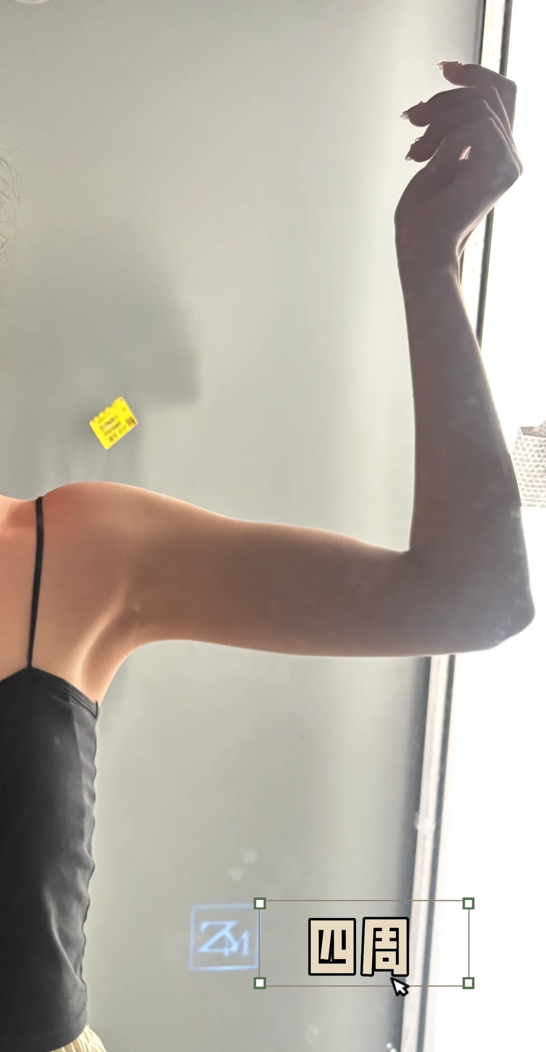 见人不如健身｜手臂训练（持续更新ing）