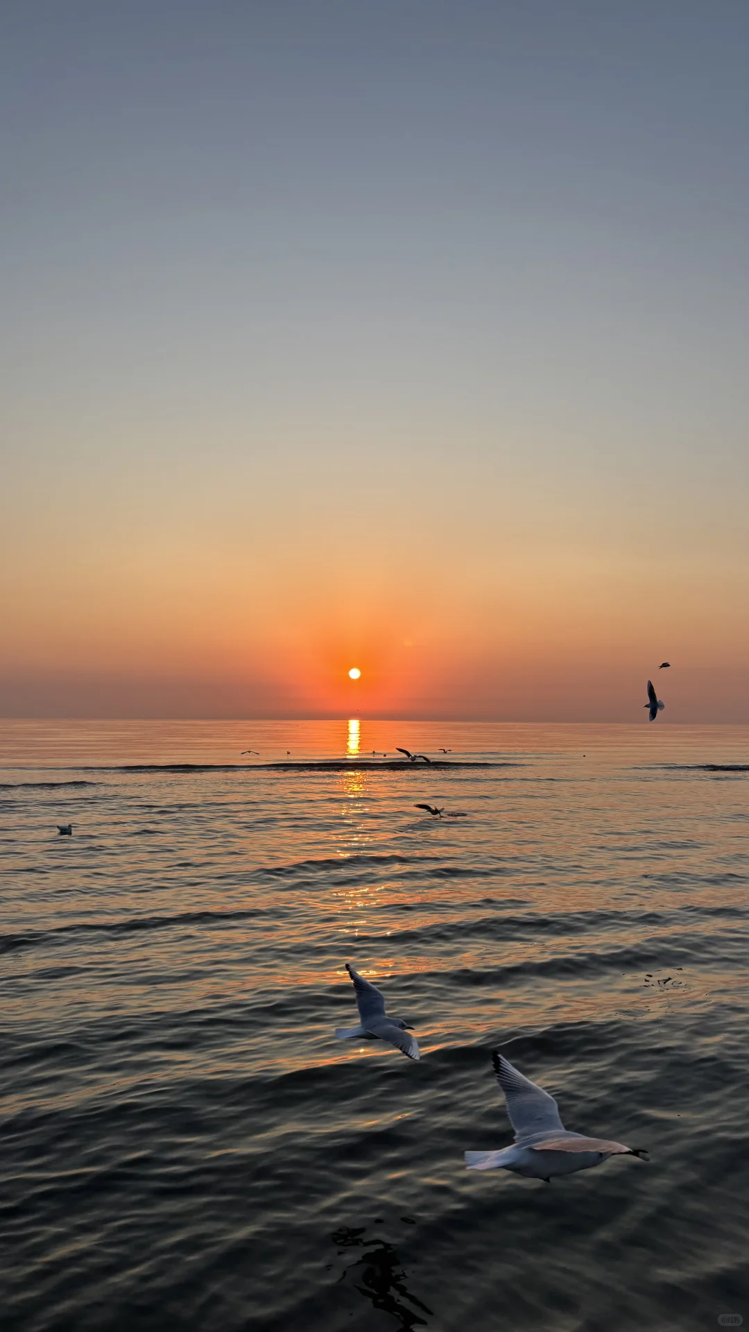 在阿那亚的幸福瞬间📖🌊