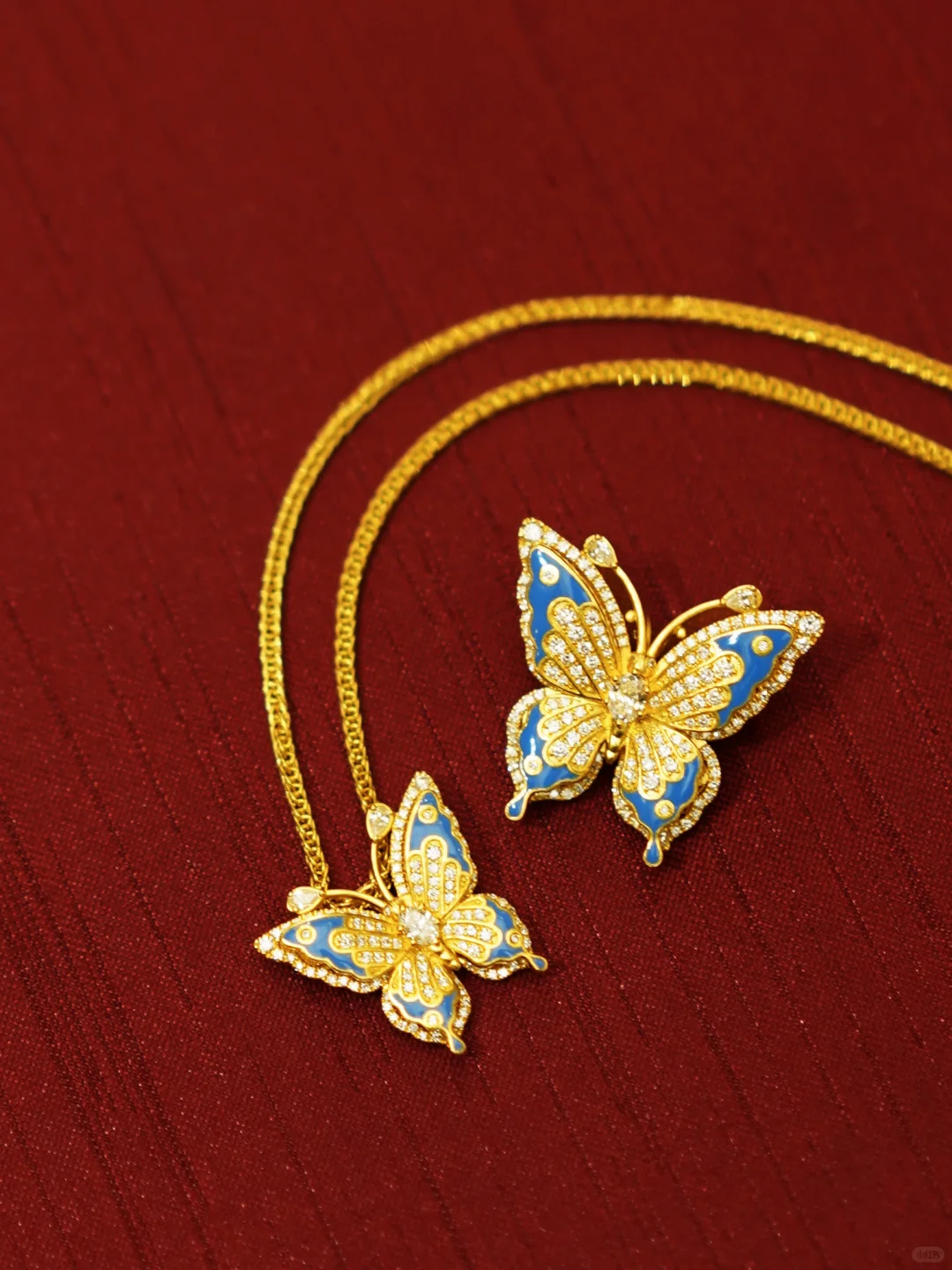 “光明女神”闪蝶-翩然而至的金色梦境✨