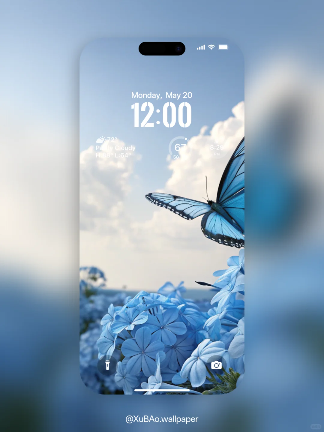 A2521 | 4k壁纸 | 蝶恋花