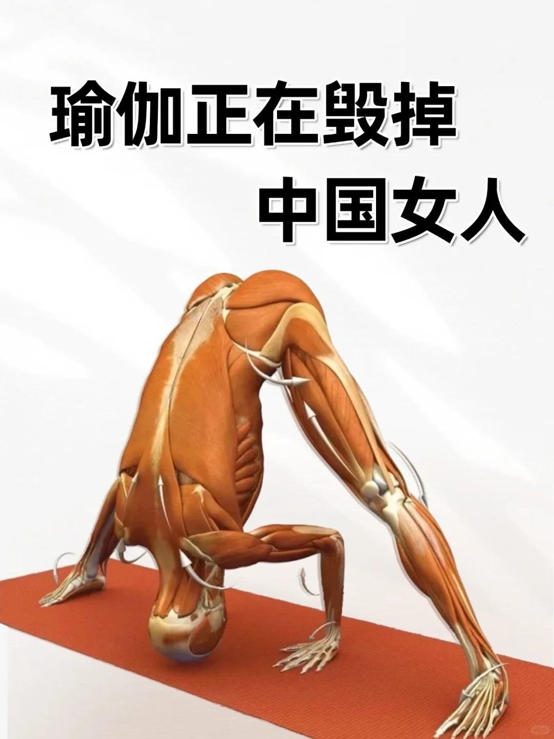 瑜伽正在毁掉中国女人