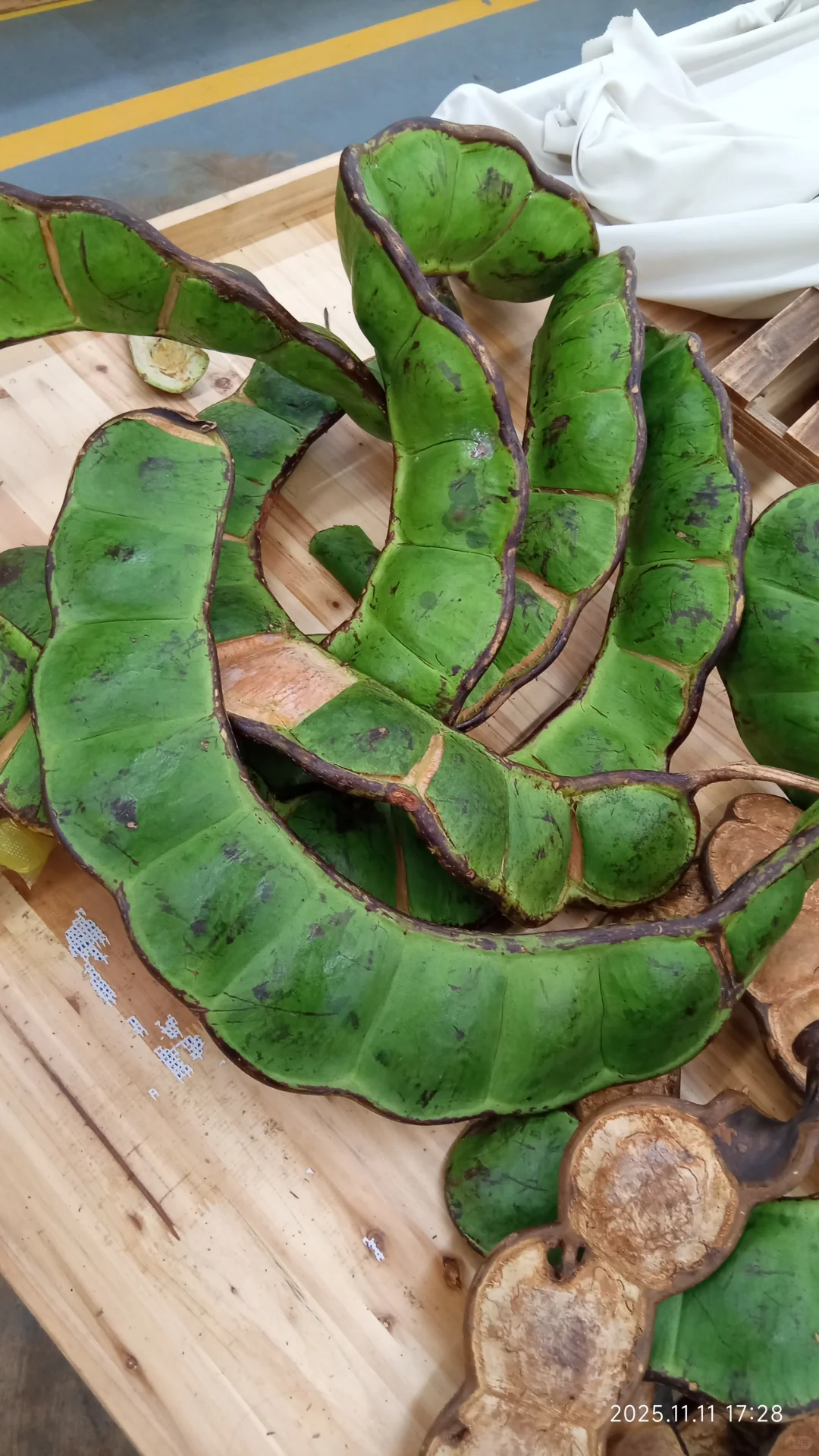 我们都是天使小女孩