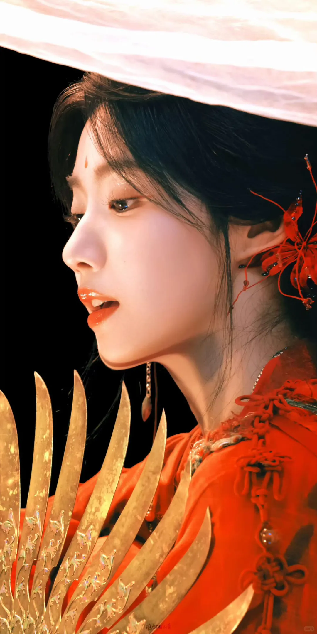 入青云×卢昱晓