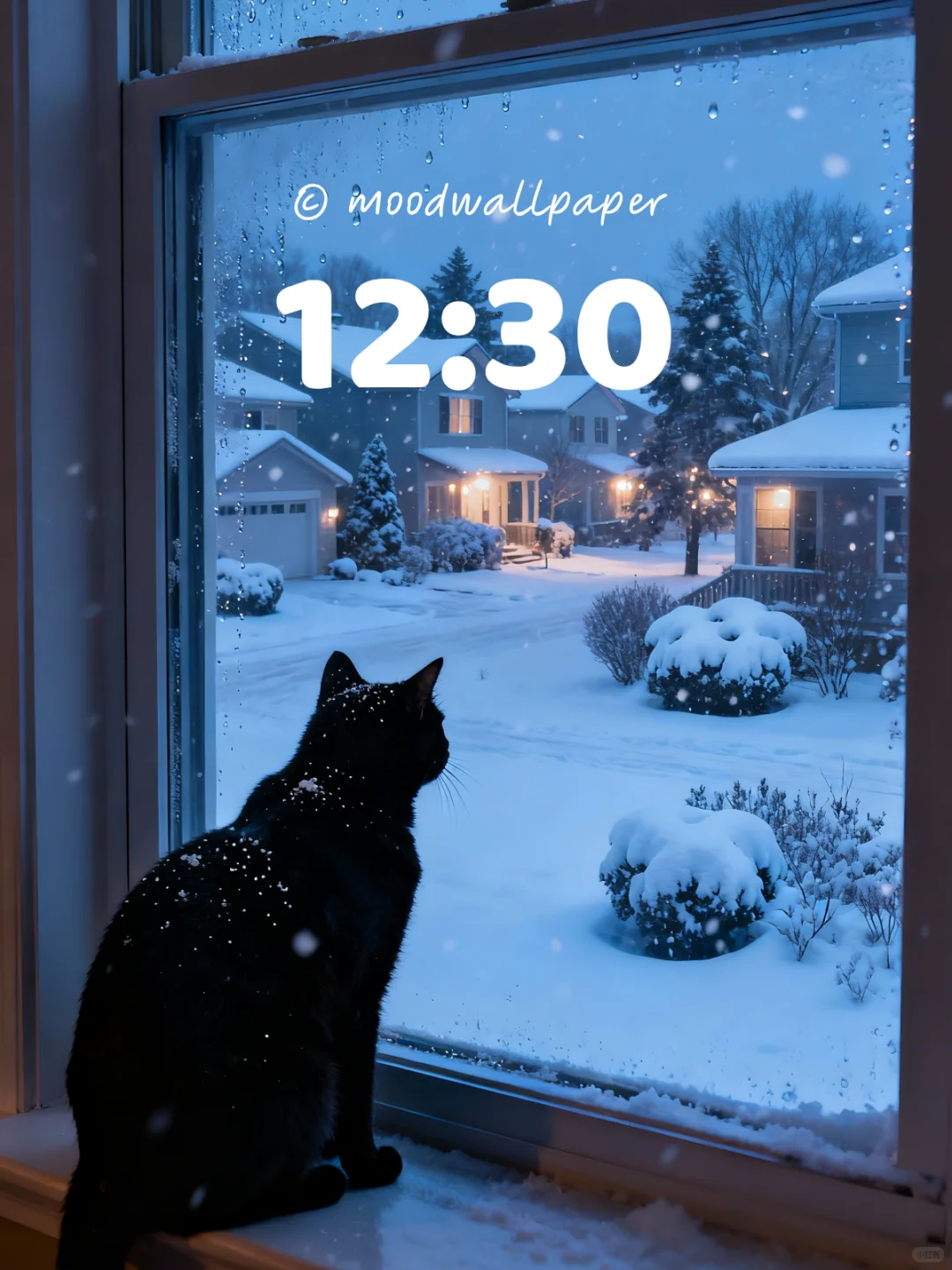 🐱北海道黑猫｜Mood｜情绪壁纸