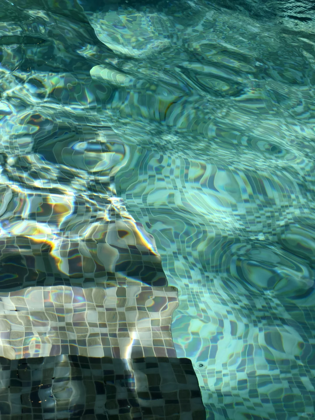 炎炎夏日 1000米/24分/蛙泳