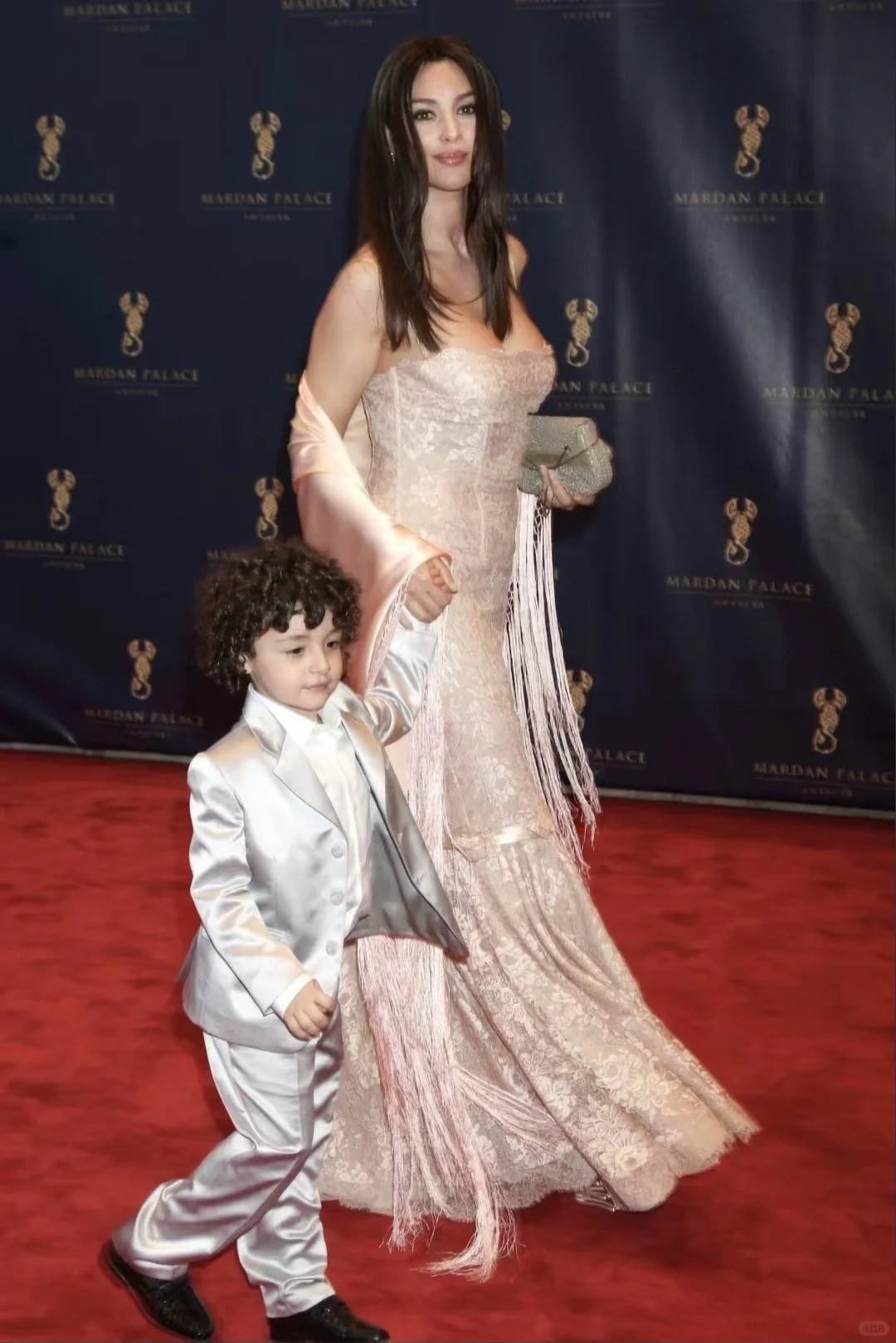 惊为天上人｜球花