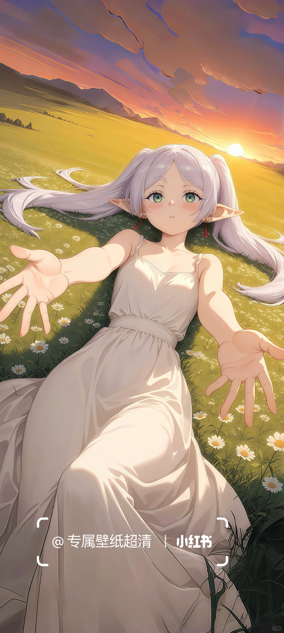 超清8K壁纸，如诗般细腻的视觉盛宴 🌟