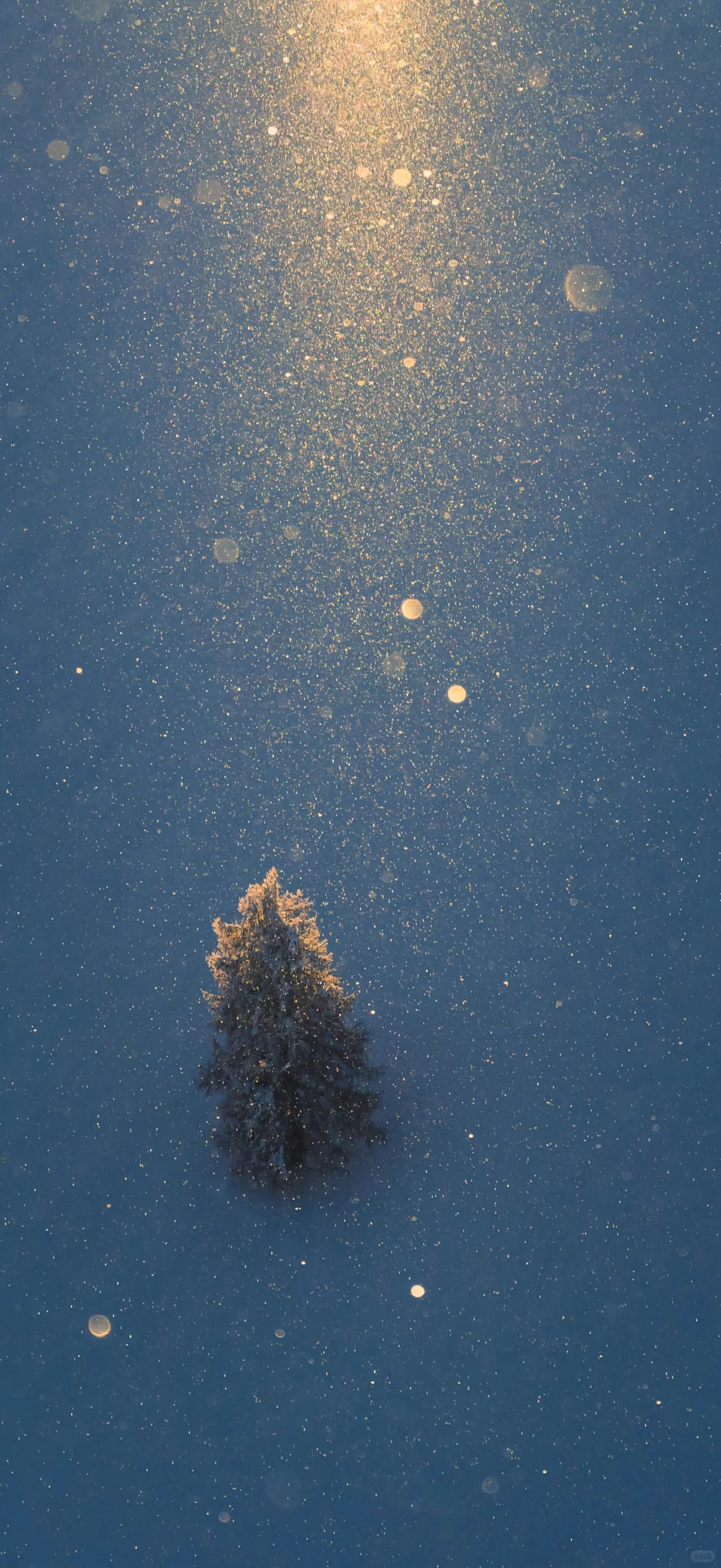 壁纸｜下雪了❄️