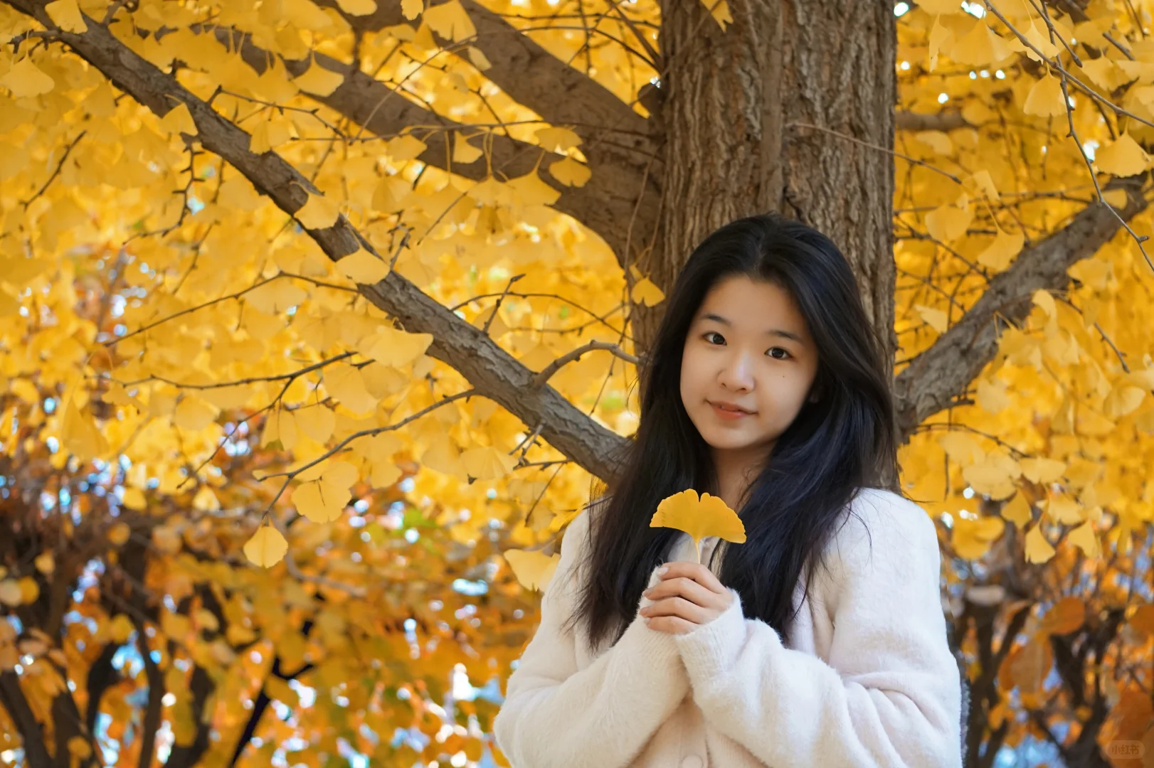 04女大⎮又是一年首经贸的秋