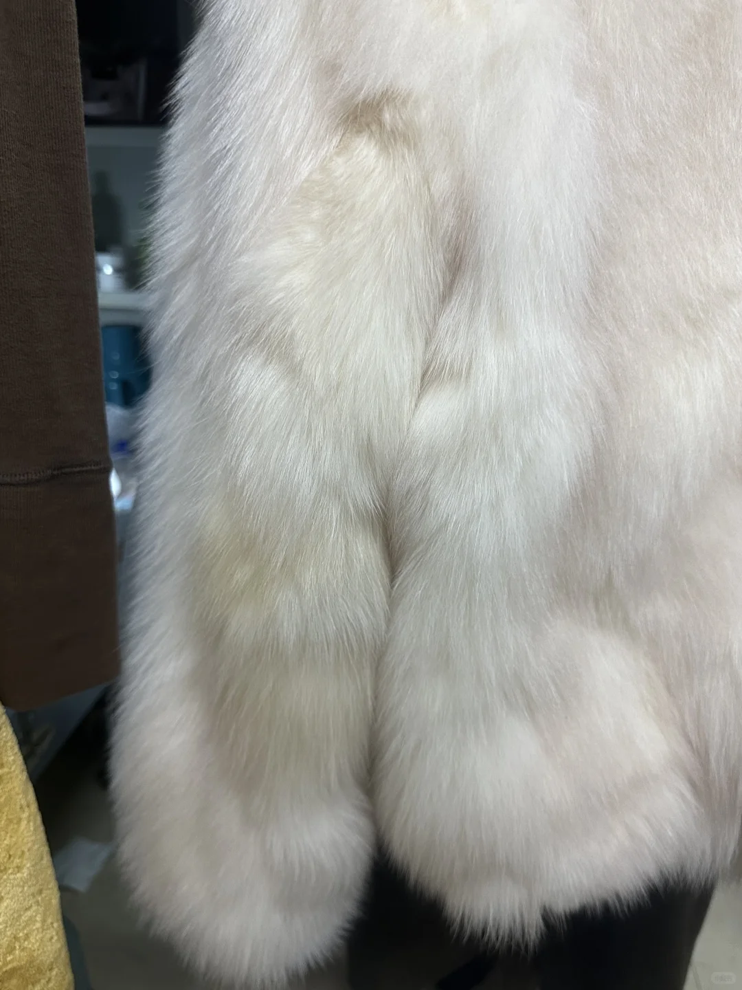 琳琳韩女千金留不留