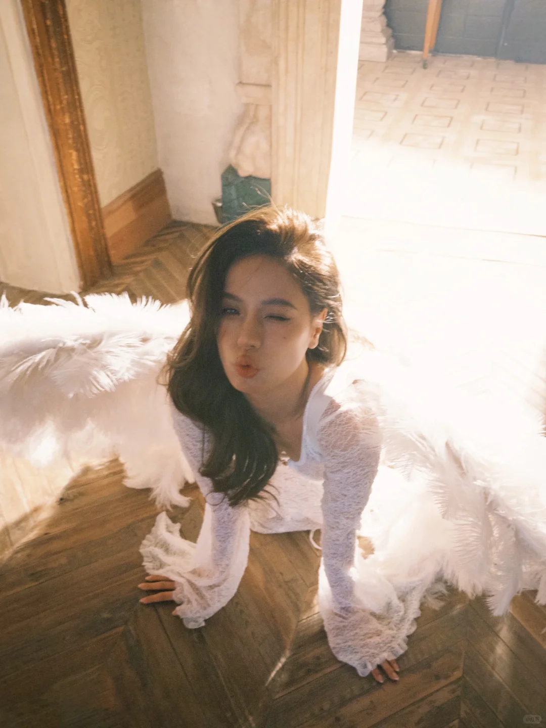 被光吻过的羽翼