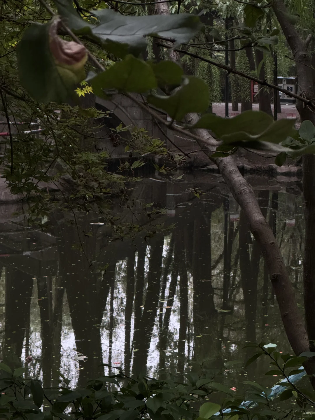 运动打卡🏃‍♀️