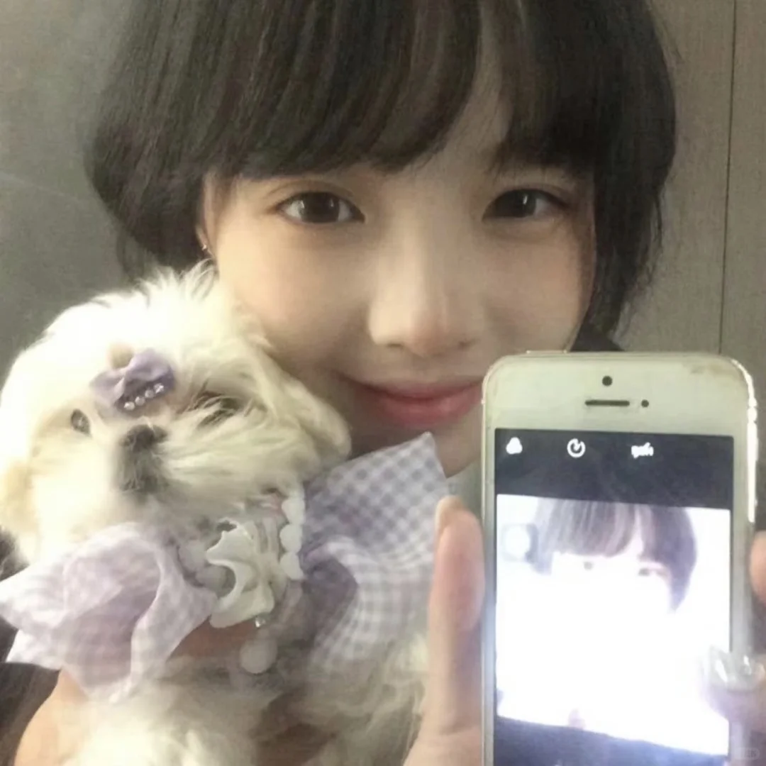 𝗪𝗲𝗰𝗵𝗮𝘁 古早低像素女头丨初见乍惊欢