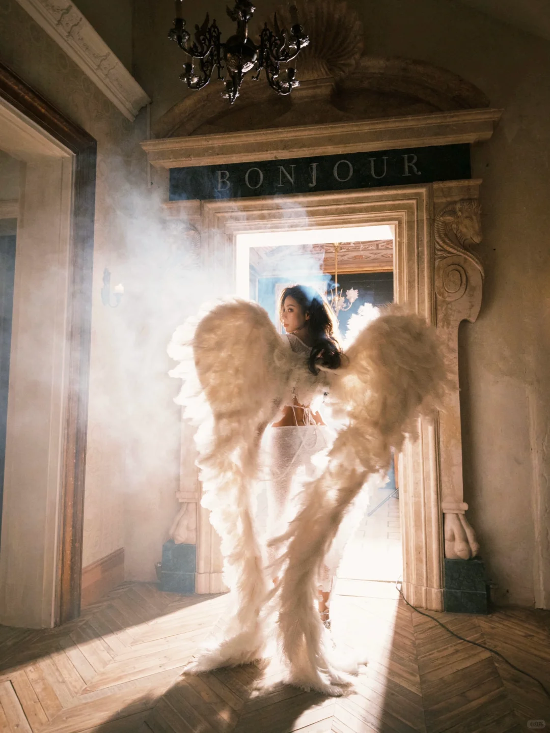 被光吻过的羽翼