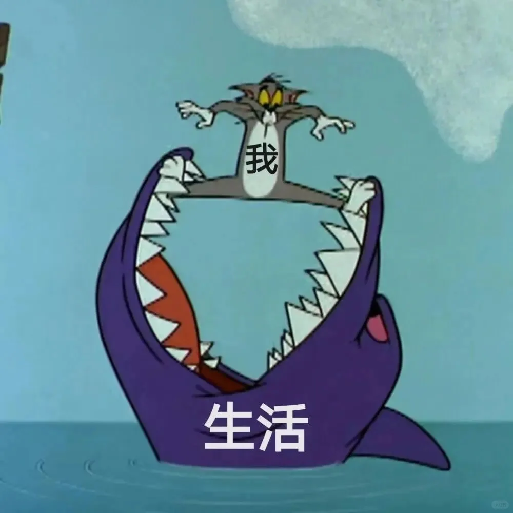 猫和老鼠表情包6️⃣